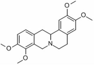Tetrahydropalmatin
