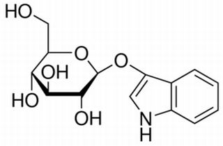 Indoxyl-Glucoside