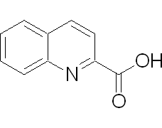 喹啉-2-羧酸 (喹哪啶酸)