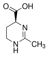 (S)-2-甲基-1,4,5,6-四氢甲基嘧啶-4-羧酸