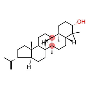 A'-Neogammacer-22(29)-en-3-ol, (3β,21β)-