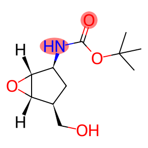 Carbamic acid, [(1R,2S,4S,5S)-4-(hydroxymethyl)-6-oxabicyclo[3.1.0]hex-2-yl]-, 1,1-dimethylethyl ester, rel- (9CI)
