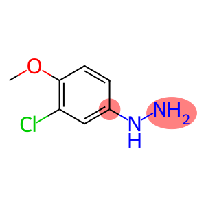 (3-chloro-4-methoxy-phenyl)-hydrazine