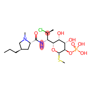 CLINDAMYCIN PHOSPHATE 克林霉素磷酸酯