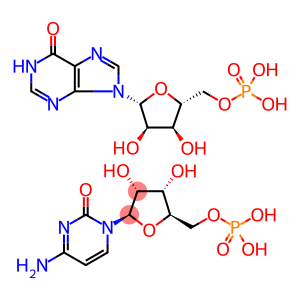 卡那霉素-聚肌胞钠盐复合物