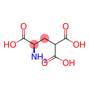 γ-羧基-D-谷氨酸