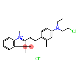 3H-Indolium,2-[2-[4-[(2-chloroethyl)ethylamino]-2-methylphenyl]ethenyl]-1,3,3-trimethyl-,chloride