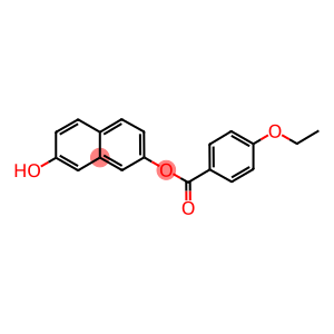 7-hydroxy-2-naphthyl 4-ethoxybenzoate