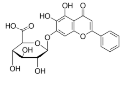 5,6-dihydroxy-4-oxo-2-phenyl-4H-chromen-7-yl hexopyranosiduronic acid