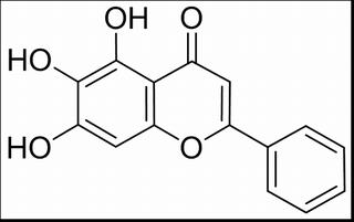 5,6,7-trihydroxy-2-phenyl-4H-chromen-4-one