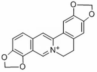 Alkaloid A, fromCoptis groenlandica