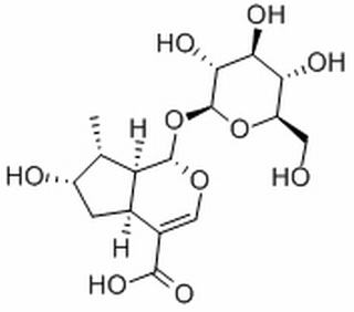(1S-(1alpha,4aalpha,6alpha,7alpha,7aalpha))-1-(beta-D-Glucopyranosylox y)-1,4a,5,6,7,7a-hexahydro-6-hydroxy-7-methylcyclopenta(c)pyran-4-carb oxylic acid