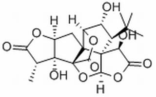 7beta-hydroxyginkgolide a