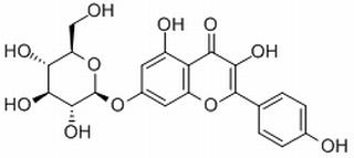 山奈酚-7-O-Β-D-葡萄糖苷
