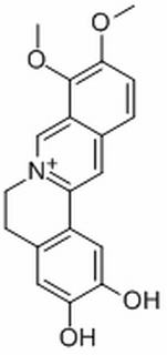 9,10-dimethoxy-5,6-dihydroisoquinolino[2,1-b]isoquinolin-7-ium-2,3-diol