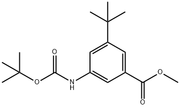 3-tert-Butoxycarbonylamino-5-tert-butyl-benzoic acid methyl ester