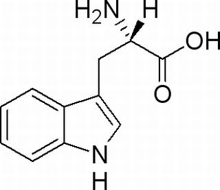 L-A- 氨基-3-吲哚 基-1-丙酸