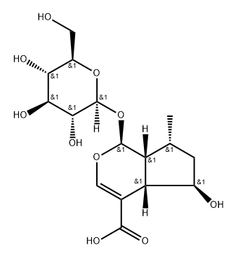 8-dehydroxy shanzhiside