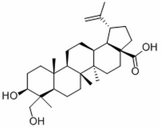 3beta,23-Dihydroxylup-20(29)-en-28-oic acid