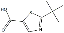 2-(叔丁基)噻唑-5-羧酸