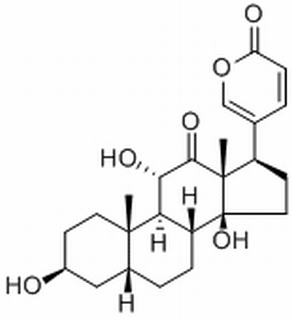 (3beta,5beta,8xi,9xi,11alpha)-3,11,14-trihydroxy-12-oxobufa-20,22-dienolide