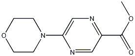5-(4-吗啉基)-2-吡嗪甲酸甲酯