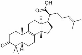 Β-榄香酮酸