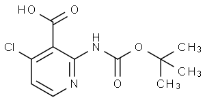 2-(Tert-Butoxycarbonylamino)-4-Chloronicotinic Acid