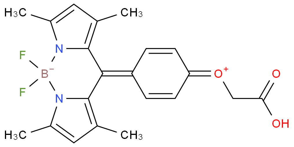 BODIPY-carboxylic acid