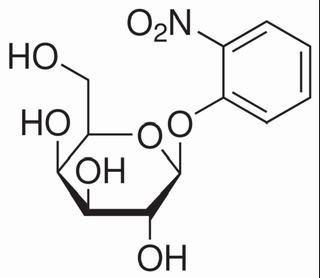 ortho-Nitrophenyl-β-galactoside