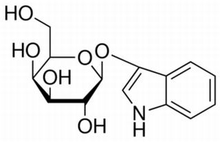INDOXYL-BETA-D-GALACTOPYRANOSIDE