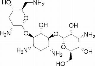 4-amino-2-[4,6-diamino-3-[[2-amino-5-(aminomethyl)-4-hydroxy-cyclohexyl]methyl]-2-hydroxy-cyclohexoxy]-6-(hydroxymethyl)tetrahydropyran-3,5-diol
