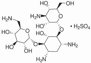 Kanamycin Monosulfate Salt