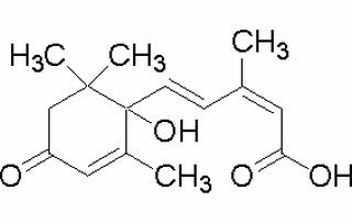 (±)-Abscisic  acid,  ABA,  Dormin,  (2Z,4E)-5-(1-Hydroxy-2,6,6-trimethyl-4-oxo-2-cyclohexen-1-yl)-3-methyl-2,4-pentadienoic  acid