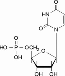 uridine 5-(dihydrogen phosphate)
