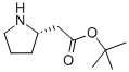 (S)-PYRROLIDIN-2-YL-ACETIC ACID TERT-BUTYL ESTER