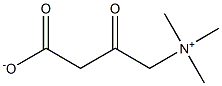 3-氧代-4-(三甲基氨)丁酸酯