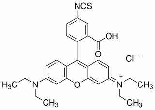rhodamine B 5-isothiocyanate
