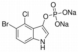 5-Bromo-4-chloro-3-indolyl phosphate, disodium salt, hydrate