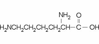 DL-赖氨酸 溶液