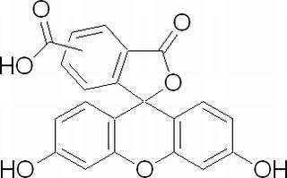 5-(6)-羧酸荧光素