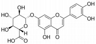 Luteolin 7-O-beta-glucuronopyranoside