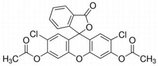 2-(3,6-二乙酰氧基-2,7-二氯-9H-氧杂蒽-9-基)苯甲酸