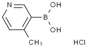 3-Picoline-4-Boronic Acid Hcl