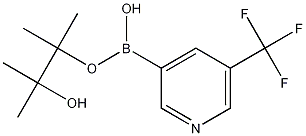 5-Trifluoromethylpyridine-3-boronic acid picol ester