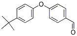 4-(4-(叔丁基)苯氧基)苯甲醛