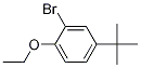 2-溴-4-叔丁基-1-乙氧基苯