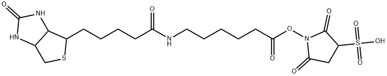 6-(Biotinylamino)hexanoicacidN-hydroxy-sulfosuccinimideester