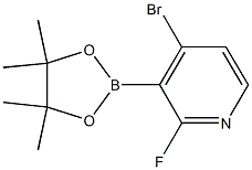 4-溴-2-氟-3-(4,4,5,5-四甲基-1,3,2-二氧硼杂环戊烷-2-基)吡啶