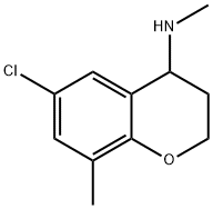 6-氯-N,8-二甲基-3,4-二氢-2H-1-苯并吡喃-4-胺